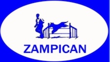 Club Agility Zampican